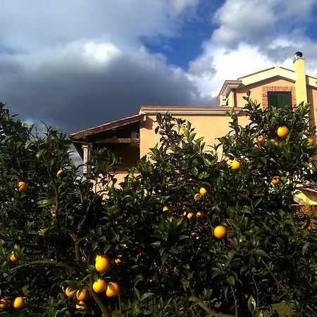 Su Canonigu Agriresort Tortolì Εξωτερικό φωτογραφία